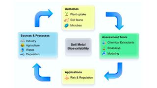 Bioavailability of heavy metals in soil: a review of tools, models, and regulatory applications (Source: Willie J.G.M. Peijnenburg)