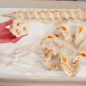 (Foto: commons.wikimedia.org/oskay (CC BY-SA 3.0))