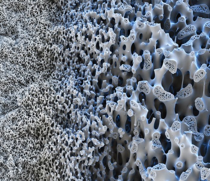 Hat das Wasser die Membranoberfläche passiert, kann es durch den porösen Kunststoff nach außen wandern. (Bild: BASF/Eye of Science)