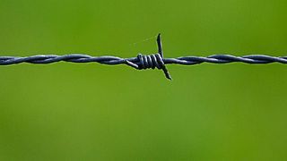 Die Anzahl der Datendiebstähle in IaaS-Umgebungen ist laut McAfee pro Jahr um 248 Prozent gestiegen.  (gemeinfrei, JuergenPM / Pixabay)