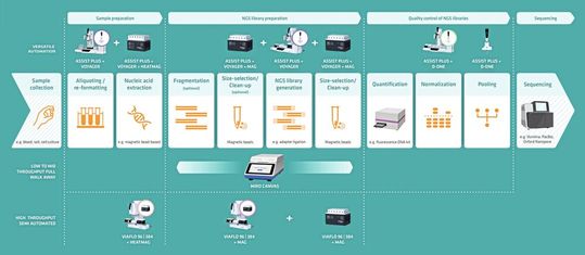Das Workflow-Diagramm zeigt, wie die Liquid-Handling-Lösungen von Integra jeden Schritt der NGS-Vorbereitung rationalisieren und die Effizienz der NGS-Bibliotheksvorbereitung optimieren können.(Bild:  Integra Biosciences)