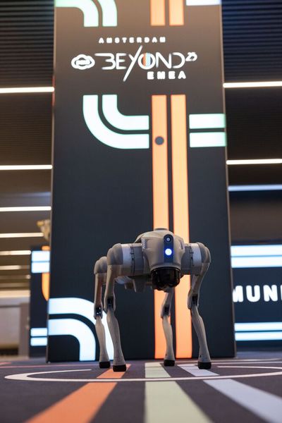 Dem ein oder anderen versüßte der ebenfalls anwesende Robohund die Veranstaltungstage.  (Bild: Pax8)