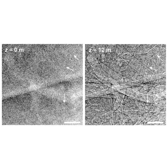 Image compares simulated results from imaging the human chest with ordinary radiography (left) and with phase-contrast radiography. “Z” corresponds the distance between the detector and patient. Image compares simulated results from imaging the human chest with ordinary radiography (left) and with phase-contrast radiography. “Z” corresponds the distance between the detector and patient.