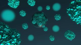 Künstlerische Darstellung des Inneren eines Cyanobakteriums. Hier konzentrieren Kondensate (Kugeln im Bild) Enzyme, die im Rahmen der Photosynthese CO2 fixieren. (Bild: © MPI für terrestrische Mikrobiologie/A. Küffner)