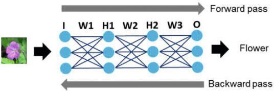 Bild 2: Beispiel für ein neuronales Netz mit vier vollständig vernetzten Schichten (Eingang I, verborgene Schichten H1 und H2, Ausgang O). (Intel PSG)