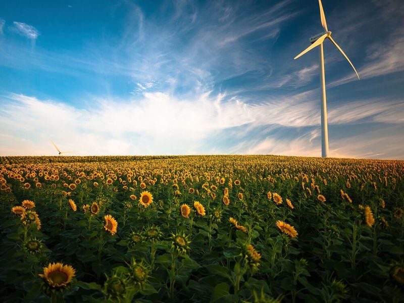 Unser globales Ökosystem wird durch den Klimawandel, den Rückgang der Artenvielfalt und viele weitere Faktoren bedroht. Das Startup Factor Eleven ruft mit seiner Kampagne zum Handeln auf.  (gemeinfrei)