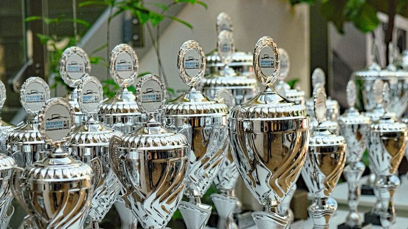 Für die Leistungen der Teilnehmer gab es Pokale. (Bild: Zietz/»kfz-betrieb«)