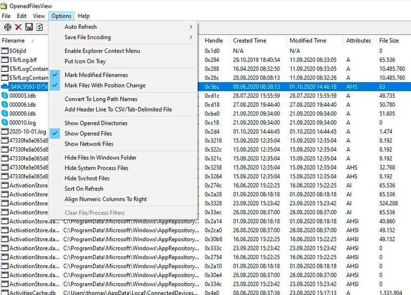 In den Optionen können Anpassungen für die Ansicht der geöffneten Dateien konfiguriert werden. (Joos/Nirsoft (Screenshot))