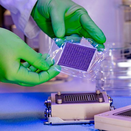 Mit einer am Leibniz-Institut für Plasmaforschung und Technologie (INP) in Greifswald entwickelten Membran-Elektroden-Anordnung kann in Elektrolyseuren bis zu 95 % des seltenen Metalls Iridium eingespart werden.(Bild:  INP)