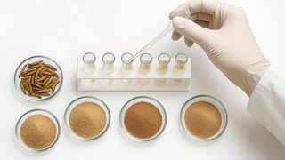 Fig. 1: ¿Qué cantidad de proteína contienen los piensos y los alimentos elaborados a partir de insectos? Normalmente, la quitina distorsiona este resultado. Sin embargo, una nueva combinación de métodos permite determinar el «verdadero» contenido de proteína con poco esfuerzo. (Imagen ilustrativa) (Imagen:Generador de imágenes GPT / Generado por IA)