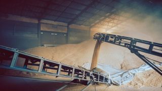 ifm-426006150-grain-transport-conveyor-belt-granary-high (Quelle: ifm electronic)