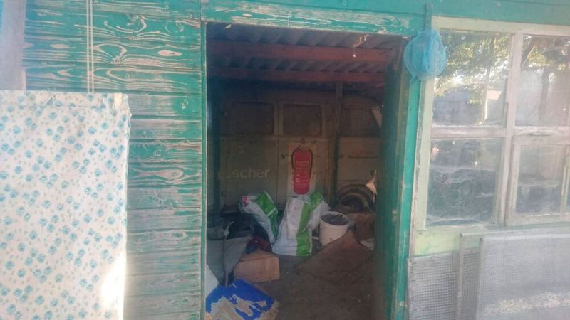 Grund für den vergleichsweise bombastischen Erhaltungszustand des Bulli ist die Tatsache, dass sein Besitzer den Bus als Fischereihütte nicht einfach ins Freie stellte, sondern eine Holzhütte drumherum baute. (Bild: Ascari)