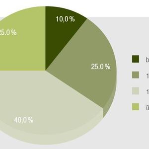 Einkommen der externen Geschäftsführers in Familienunternehmen. 