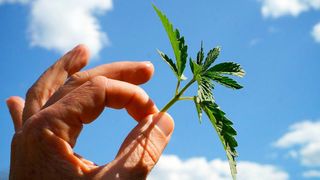 Liegt in einem Unternehmen bereits eine Betriebsvereinbarung zum Thema Drogenkonsum vor, sollte der Arbeitgeber prüfen, ob diese auch Cannabis umfasst.  (Bild: Hennadii Kolchev auf Pixabay)