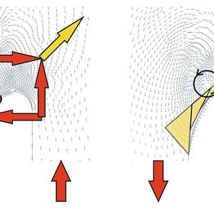 Abb. 1: Die Finite Elemente Analyse eines schubbelasteten Schlitzendes ergibt das wirbelförmige Verschiebungsfeld jeweils geplottet über die unverformte Halbkreiskontur (links) und über die verformte Zugdreieckskontur (rechts). Letztere würde, wenn sie ein so gefertigtes Schlitzende darstellen würde, die dem linken roten Punkt zugeordnete Kerbspannung drastisch reduzieren. Die Kerbspannung folgt aus der Umlenkung des schrägen Zuges, der aus dem Schubviereck resultiert. Das ist der rechnerische Nachweis von Verschiebungswirbeln in einer elastischen Platte vor dem Schlitzende [1].(Bild:  Mattheck)