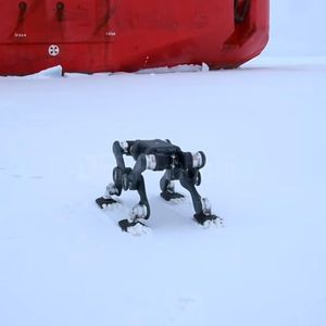 Mission in the Arctic Ocean: A Deep Robotics Lynx S10 quadruped robot maneuvers across the pack ice in the Arctic Ocean and leaves the research icebreaker.(Image: Deep Robotics)