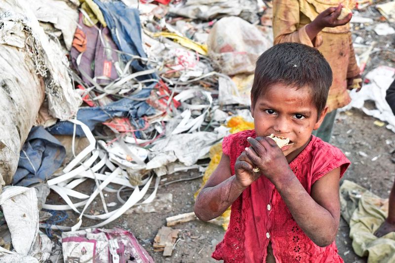Der zweite Punkt der UN-Nachhaltigkeitsziele umfasst das Beenden von Hunger, die Gewährleisung von Ernährungssicherheit sowie die Förderung einer nachhaltigen Landwirtschaft.  (Bild: gemeinfrei)