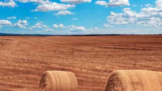 Moderne Landmaschienen ermöglichen eine beinahe Zentimetergenaue Bewirtschaftung von Feldern. (Pixabay)