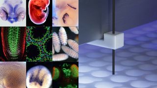 insitupro-webinar-thumb.jpg (CEM GmbH)