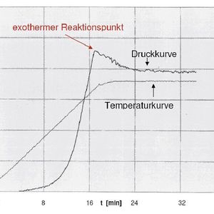2	 Einstufiges Temperaturprogramm des Druckaufschlusses einer Fischprobe.