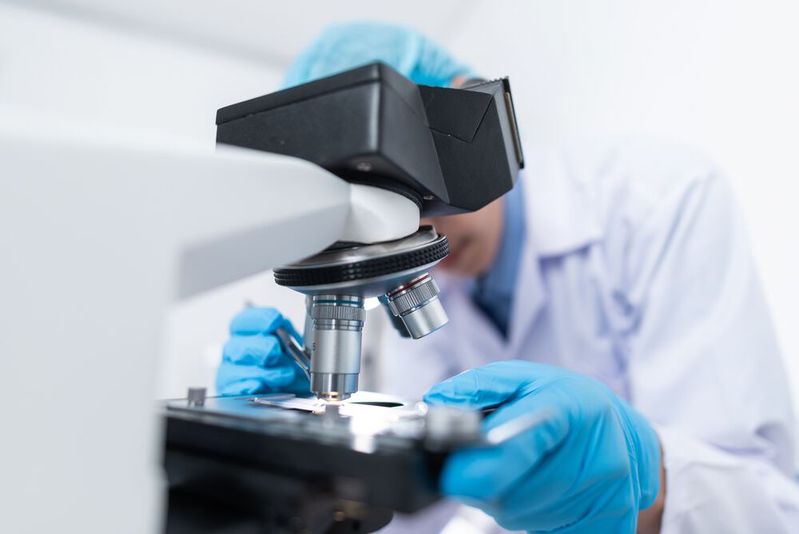 Ein Schwerpunkt der aktuellen Forschung liegt auch auf medizintechnischen Produkten, die auf Werkstoffe zurückgreifen, die mit einer besonders hohen Biokompatibilität punkten können. Der Vorteil: Sie rufen im Optimalfall geringere Abstossreaktionen im Körper hervor. 