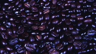 Koffein-Bestimmung in Kaffee: Auch entkoffeinierter Kaffee enthält noch Koffein. (Archiv: Vogel Business Media)