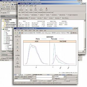 Funktionen zur Datenexploration bieten die Möglichkeit, große Datenmengen schnell zu sichten und Muster zu erkennen.