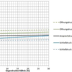 (Bild: Albert Richter ARI-Armaturen GmbH & Co. KG)