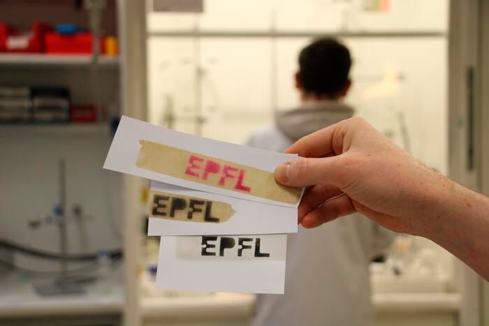 Lignin-based thermal paper (Source: 2025 EPFL/J. Luterbacher CC-BY-SA 4.0)