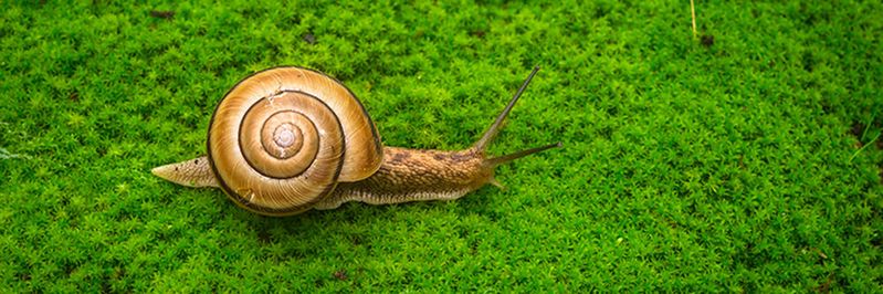 Als bei einem Kunden die ODX-Leistung des Speichersystems langsamer als erwartet war, ging man bei Qumulo auf Fehlersuche.(Bild:  gemeinfrei /  Pixabay)