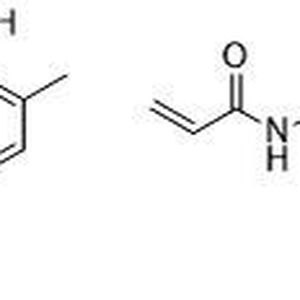 (Bild: Uni Düsseldorf)