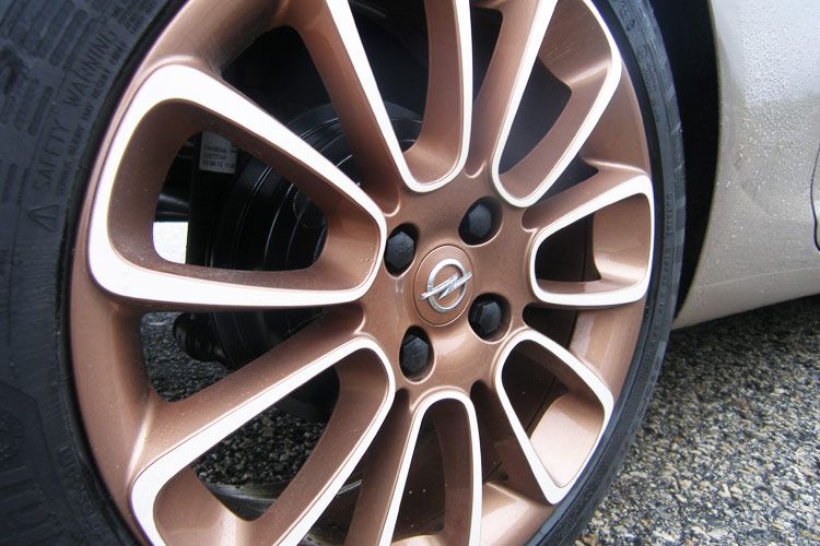 Zweifarbenrad „Roulette“. (Foto: Rehberg)