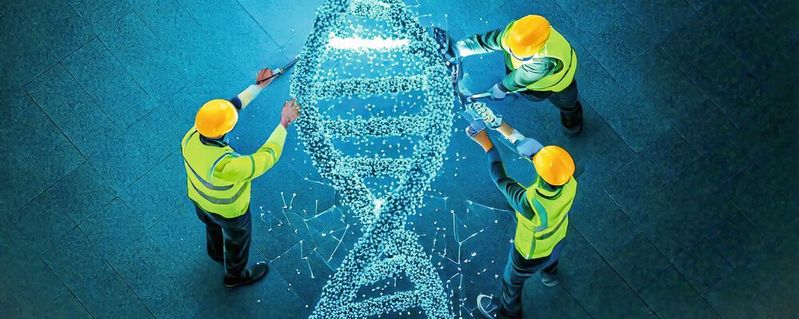 Das menschliche Erbgut besteht aus etwa 3,1 Milliarden Bausteinen und ist sehr komplex. Um dessen Stabilität zu erhalten, sind ständig Reparaturarbeiten nötig. Diese Reparaturmechanismen nicht nur als Reaktion auf äußere Einflüsse wie Gifte oder Strahlung wichtig, sondern auch entscheidend für das tägliche Überleben der Zellen. (Symbolbild) (Bild:  Josef Kuster / ETH Zürich)