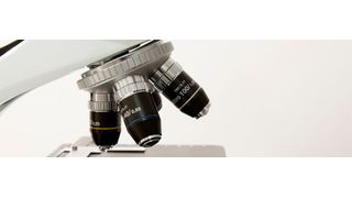 Eine KI soll Fachleute dabei unterstützen, mikroskopische Aufnahmen zu analysieren. (Bild: gemeinfrei)