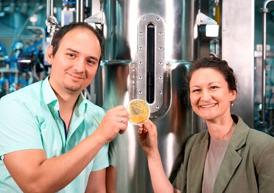 Dr. Lena Hochrein entwickelt mit der BMFTR-Nachwuchsgruppe Tailor der Uni Potsdam maßgeschneiderte Hefen. Und das Team um Professor Ruben R. Rosencrantz vom Fraunhofer IAP sorgt für das Scale-up der Bioprozesse. So will man wichtige Industriezweige nachhaltiger machen ...(Bild:  A. Tafazoli Yazdi)