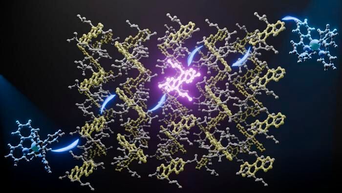 A new solid-state material from Kyushu University turns visible light into high-energy UV at sunlight intensity. By attaching alkyl chains to the sp³ carbon atoms of an organic molecule, the researchers create precisely controlled gaps between neighboring molecules. This spacing enables efficient triplet energy transfer, achieving a quantum yield above 60% in the solid state. (Source:  Naoyuki Harada / Kyushu University)