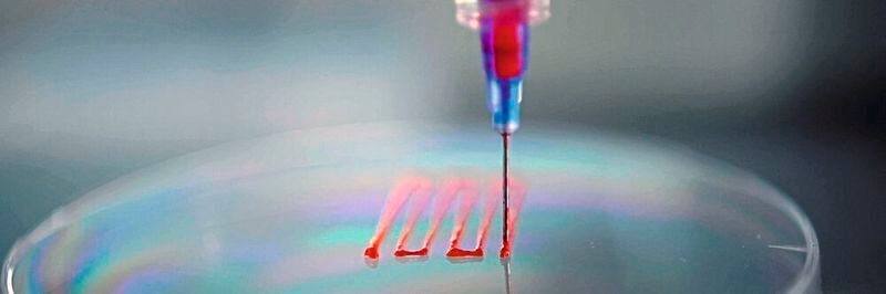 Bioprinting soll es möglich machen, dass Organe, Haut, Muskeln oder anderes menschliches Gewebe in Zukunft additiv hergestellt werden. 