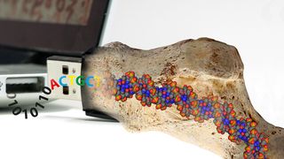 Um unser digitales Wissen für die Ewigkeit zu bewahren, liessen sich ETH-Forscher von Fossilien inspirieren. (Bild: Philipp Stössel/ETH Zürich)