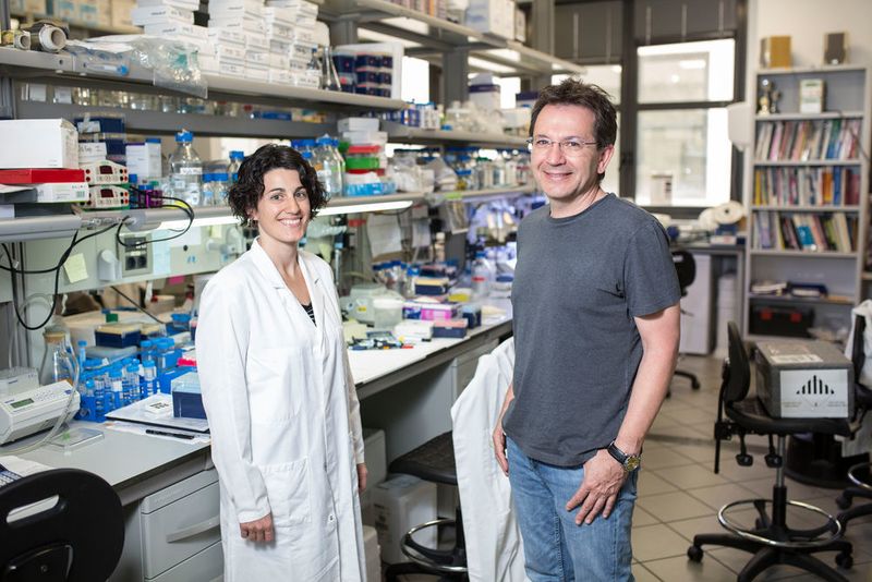 Raúl Méndez and Eulàlia Belloc from the Translational Control of Cell Cycle and Differentiation Lab at IRB Barcelona. (Massimiliano Minocri/ IRB Barcelona)