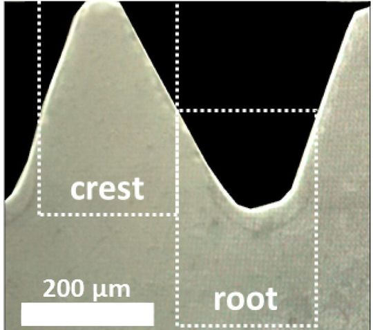 Durch eine spezielle Mikroskop-Aufnahme sind hier die Spitzen und Tiefen einer Mg-5Gd-Schraube zu sehen.(Bild:  Krüger et. al 2021)