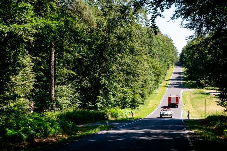 Wem's mit geöffnetem Verdeck zu warm wurde, der konnte vermutlich die waldigen Passagen im Spessart genießen. (Stefan Bausewein)