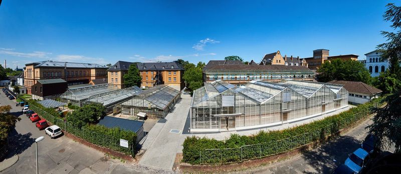 Die Gewächshäuser am Katzenburgweg 2 in Poppelsdorf: Rechts ist der neue Hightech-Glasbau zu sehen. (Volker Lannert/Uni Bonn)