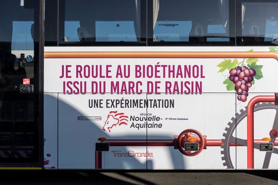 Auf der Suche nach nicht-fossilen Kraftstoffen wird aus Weinresten Biosprit.(Bild:  Scania)