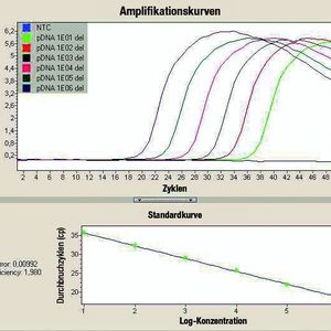 1	 Real-Time-PCR-basierter Nachweis der 377 bp Deletion im kryptischen Plasmid des C. trachomatis-Stamms. Links: Amplifikationskurven und Kalibration des Wildtyps (LightCycler 2.0, Kanal 705); rechts: Amplifikationskurven der Deletion (LightCycler 2.0, Kanal 640).