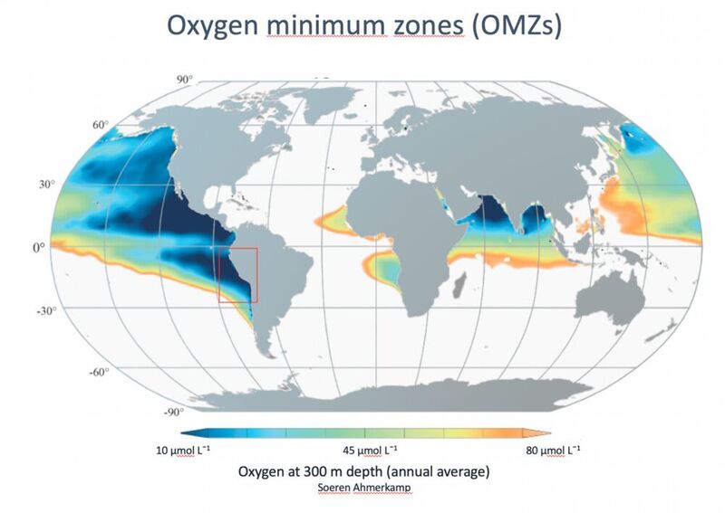 Weltkarte mit einer Übersicht der Sauerstoff-Minimumzonen. Vor Mittel- und Südamerika sind sie am größten. Aber auch in der Ostsee kommen sie vor. Der rote Kasten markiert die Sauerstoffminimumzone vor Peru, in der die Proben für diese Studie genommen wurden.  (Max-Planck-Institut für Marine Mikrobiologie/S. Ahmerkamp)