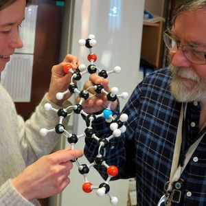 Helle Wangensteen and Karl Egil Malterud studying a structural model of the comparatively simple dihydronitidine molecule, found in the Olon tree and capacle of killing malaria parasites.