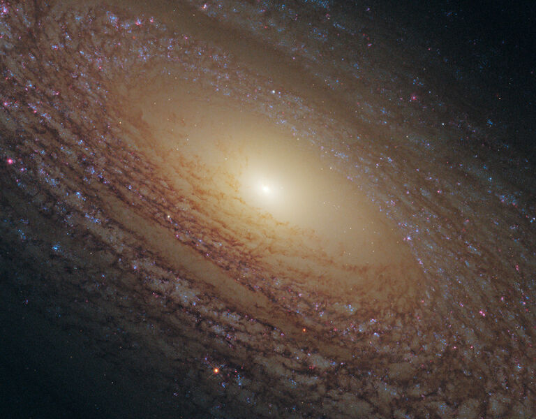 Die Galaxy NGC 2841 liegt 46 Millionen Lichtjahre entfernt im Sternbild großer Bär (NASA/STScl)