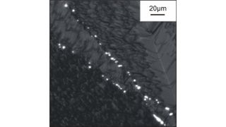 Oberflächenmorphologie einer Solarzelle mit überlagerter Lumineszenzintensität unter Rückwärtsspannung (–17 V) von Defekten, die sich entlang zweier Korngrenzen anordnen  (Bild: Universität Leipzig)