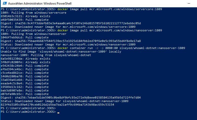 Auch Microsoft bietet Docker-Images an, die sich im Netzwerk integrieren lassen. Auch diese müssen nach Sicherheitslücken untersucht werden. (Joos)