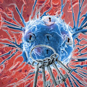 (Bild: Research Institute of Molecular Pathology (IMP))